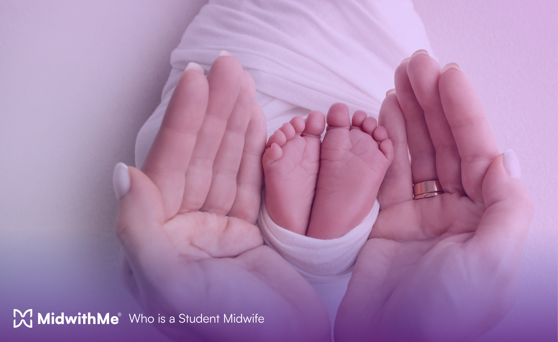 Who Is a Student Midwife - MidwithMe